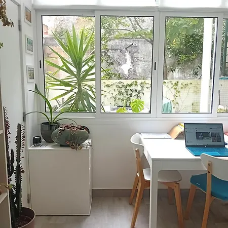 Cozy & Comfortable In Apartment *